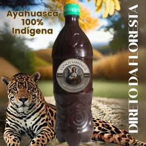 Ayahuasca 10x1 -1Litro